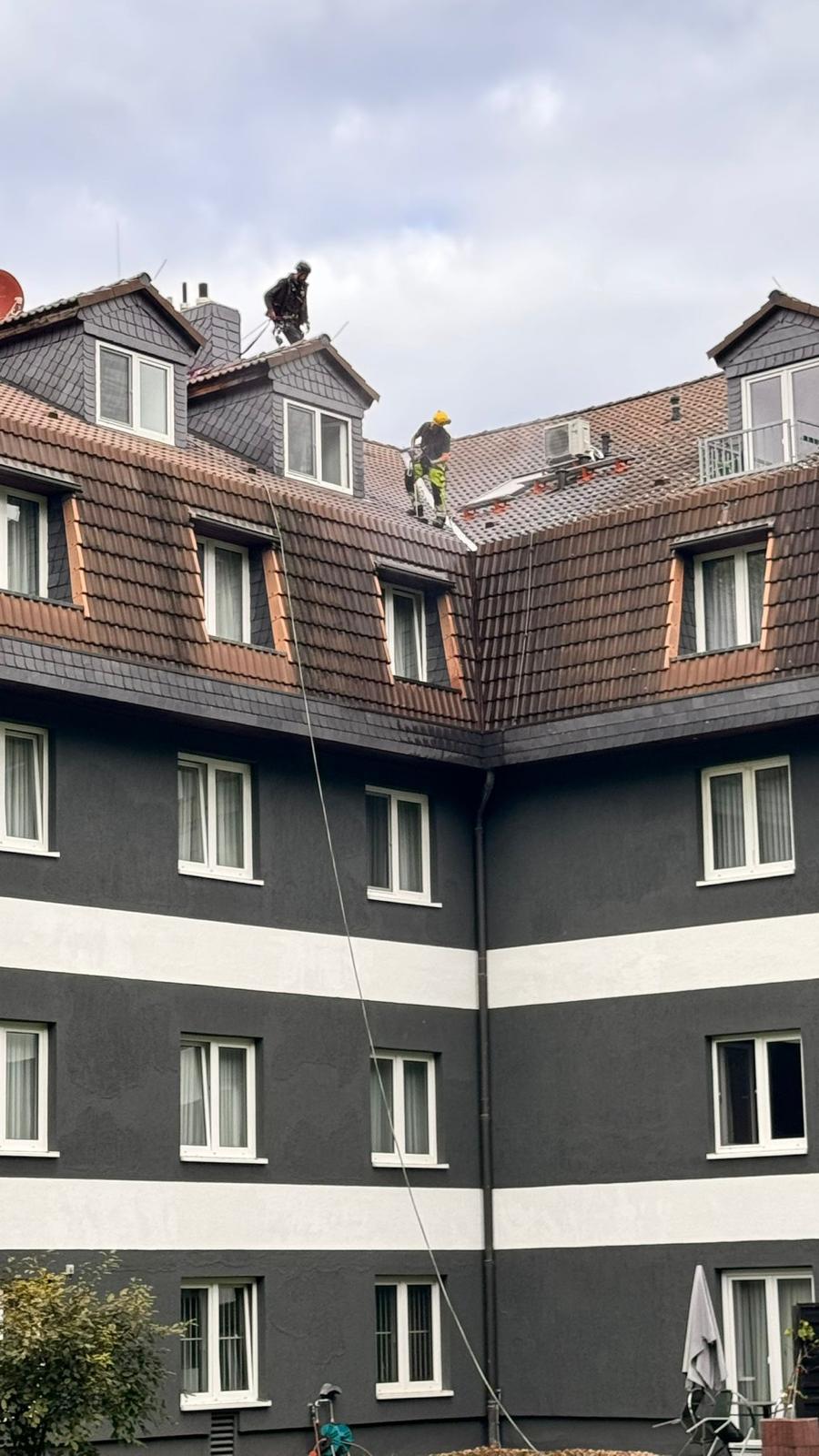 Spechtschadenbeseitigung an Fassaden Leipzig